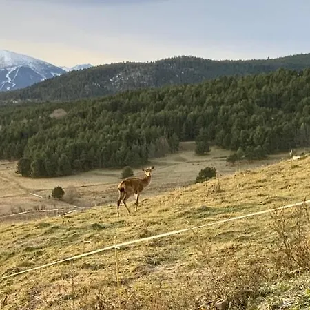 Chalé Artik Avec Vue A 180 Degres Et Piscine Les Angles (Pyrenees-Orientales)